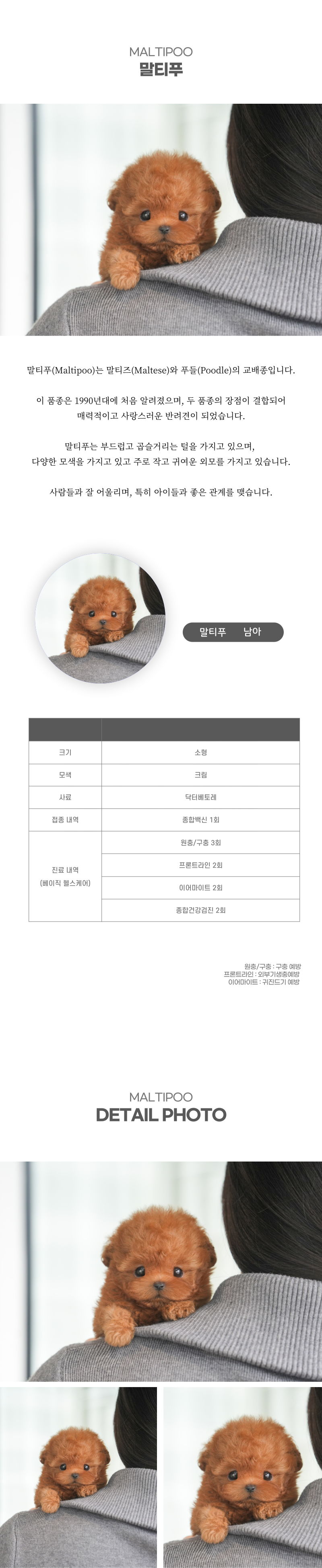 말티푸_상세이미지_2